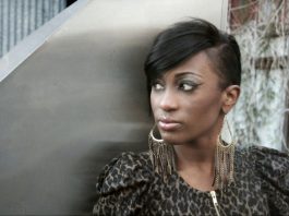 Груминг и отель для питомца: выбираем лучшее