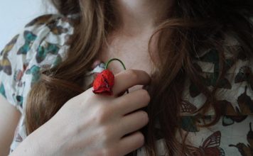 Кредит для бизнеса: выбор стратегии роста